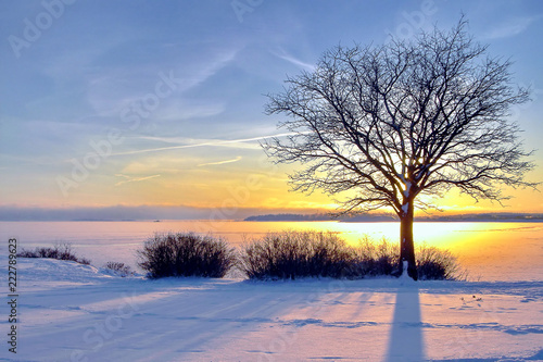Winter landscape with sunset fiery sky. Composition of nature.