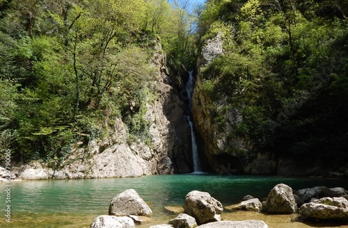 waterfall in the forest