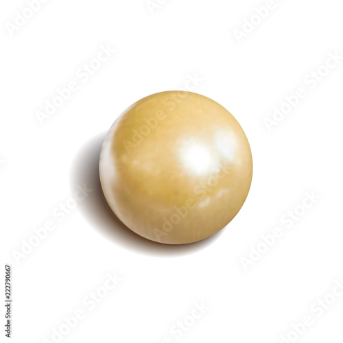 Vector Realistic Pearl Isolated on White Background, Single Natural Oyster Pearl.