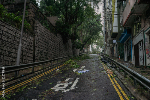 tree falling debris block the public road during typhoon Ompong (Mangkhut) hit in Hong Kong