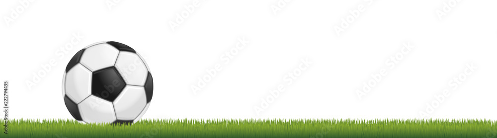 Soccer ball on grass Soccer ball on grass