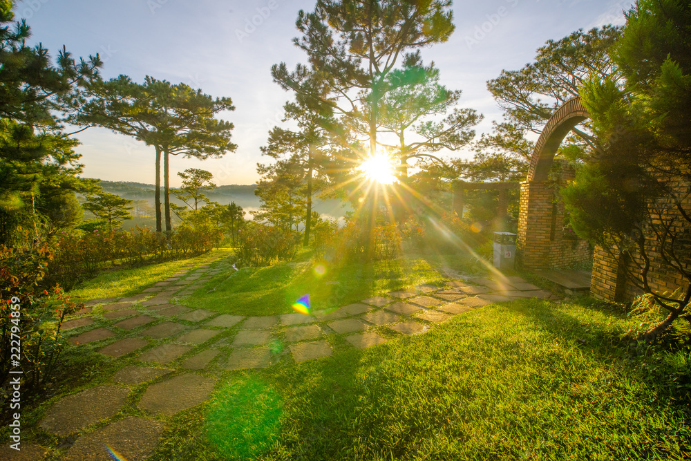 Obraz premium sunrise in park