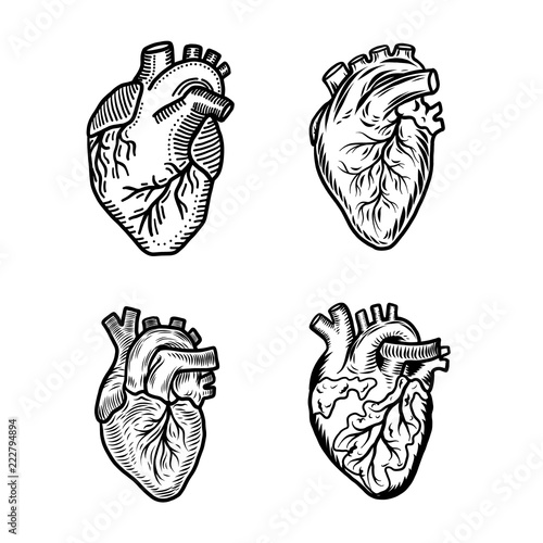 Heart human icon set. Hand drawn set of heart human vector icons for web design