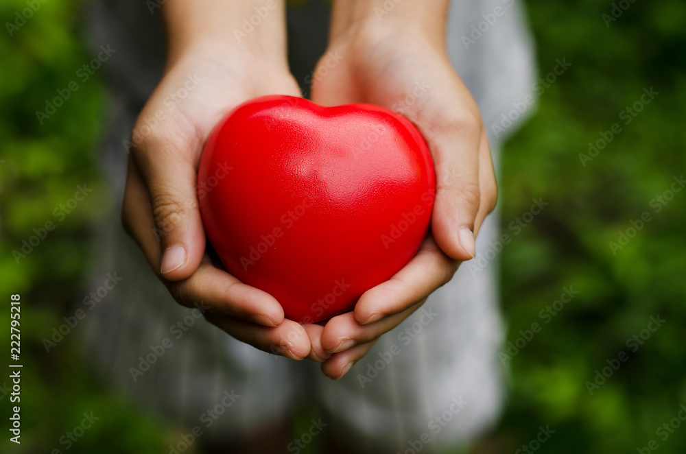 The concept of good health for the heart The concept of good health for the heart