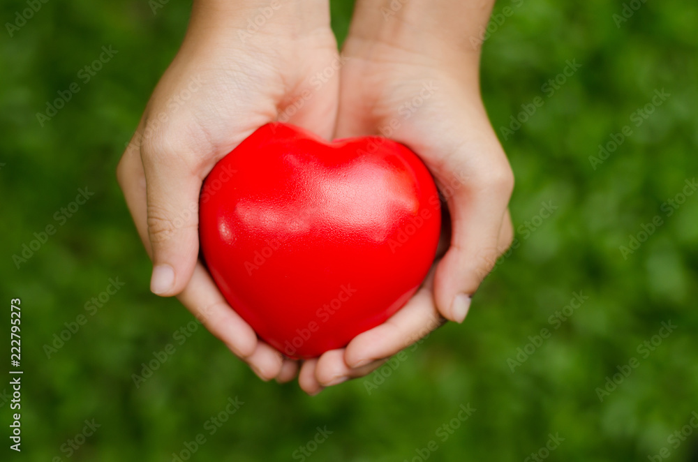 The concept of good health for the heart The concept of good health for the heart