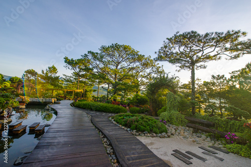 Pick up the dawn in the tourist valley of love, the morning light shines through pine forest and flower garden in Da Lat- Thung lung tinh yeu valley photo