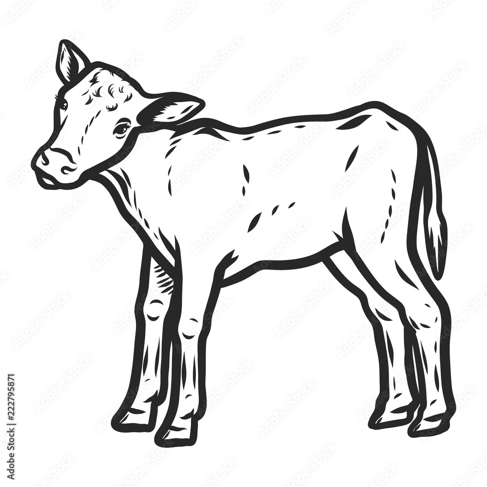 Veal icon. Hand drawn illustration of veal vector icon for web design