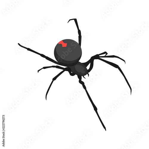 Spider icon. Isometric of spider vector icon for web design isolated on white background