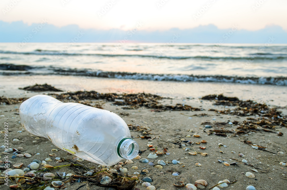 Obraz premium A plastic bottle lies on the beach and pollutes the sea and the life of marine life. The concept of pollution control of the seas and oceans by plastic. Beat Plastic Pollution.