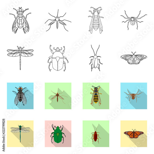 Vector design of insect and fly icon. Collection of insect and element stock vector illustration. © Svitlana