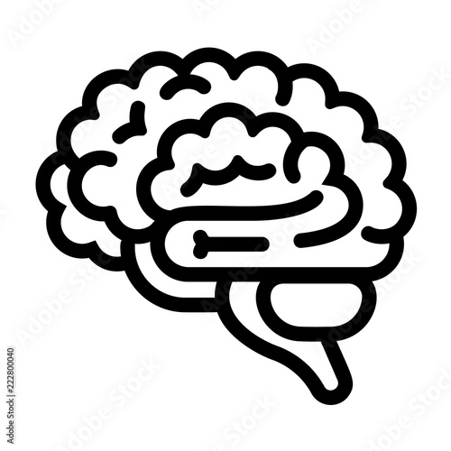 Brain icon. Outline brain vector icon for web design isolated on white background