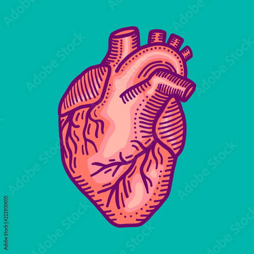 Heart icon. Hand drawn illustration of heart vector icon for web design