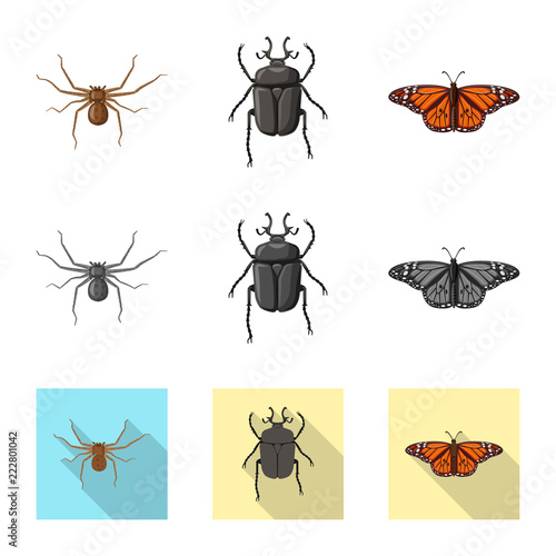 Isolated object of insect and fly sign. Set of insect and element vector icon for stock.