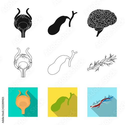 Vector illustration of body and human logo. Collection of body and medical vector icon for stock.