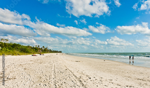 Front view  long distance of families moving across a white  sandy beach to the shoreline of a tropical  park on the Gulf of Mexico