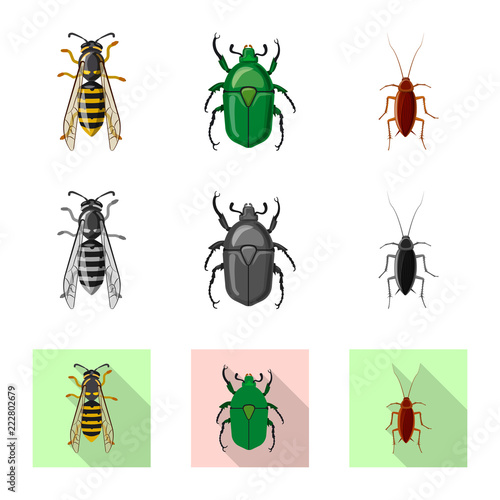 Isolated object of insect and fly logo. Collection of insect and element stock symbol for web.