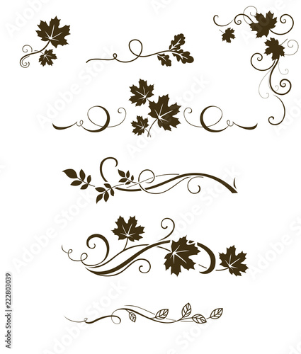 Vector set of autumn calligraphic elements, dividers and ornaments with maple, oak and rowan leaves for page decor and