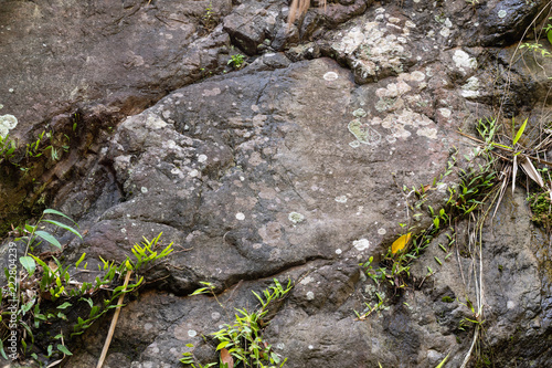 Rock Cliff texture background