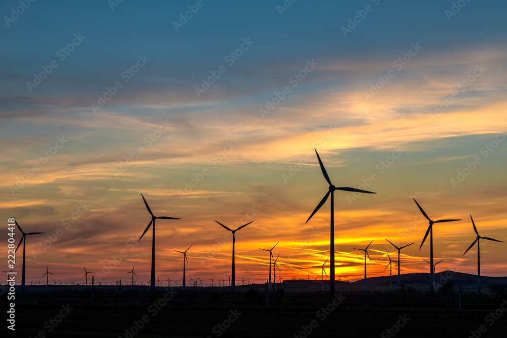 Group of wind power turbines at a sunset.