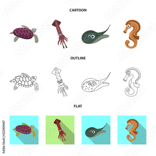 Vector illustration of sea and animal icon. Collection of sea and marine stock vector illustration.