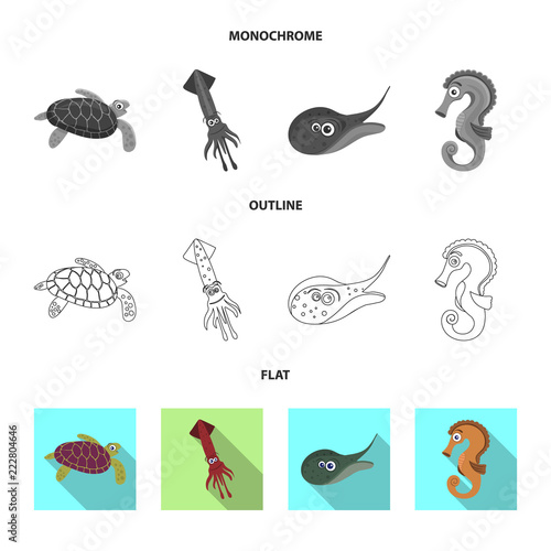 Isolated object of sea and animal symbol. Set of sea and marine vector icon for stock.