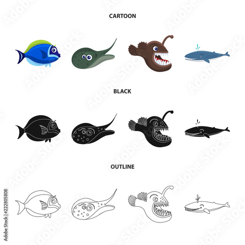 Vector illustration of sea and animal icon. Set of sea and marine stock vector illustration.