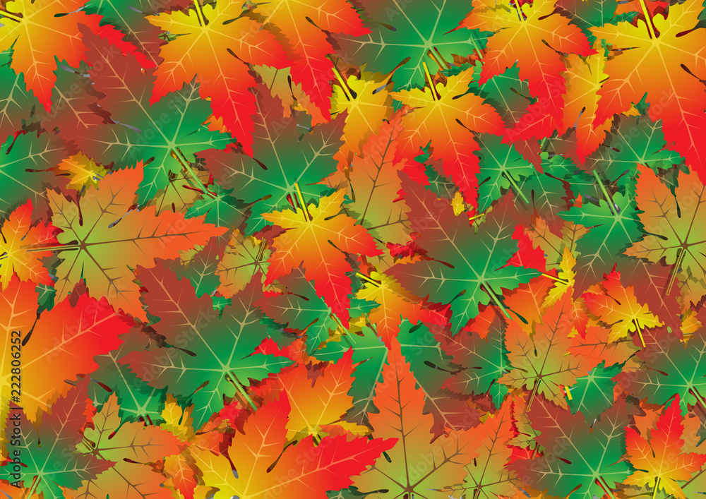 Red maple leaf background collection. Autumn season maple leaf background. Vector EPS10