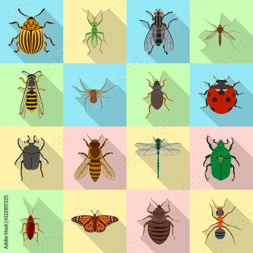 Vector illustration of insect and fly symbol. Collection of insect and element vector icon for stock. © Svitlana