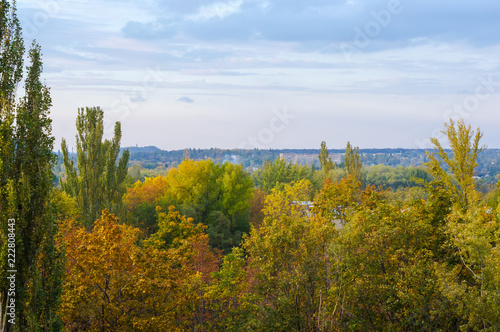 Autumn landscape with trees in sunlight, autumn landscape