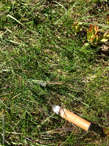 Cigarette end discarded on morrland