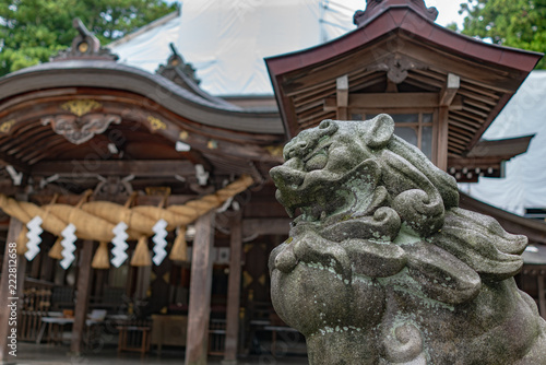 Guardian dog statue (Komainu) at Shirayamahime Shrine, Ishikawa, Japan 白山比咩神社 狛犬