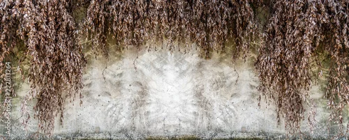 Obraz suche liście na betonowym tle