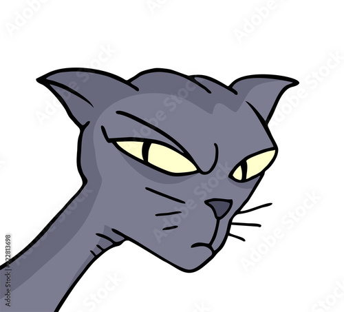 angry cat expression