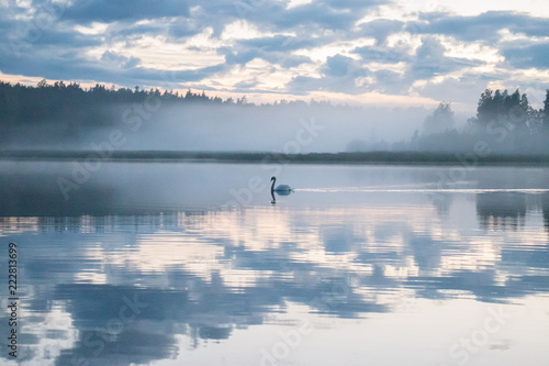 Fototapeta Naklejka Na Ścianę i Meble -  sunset over lake and a swan swimming