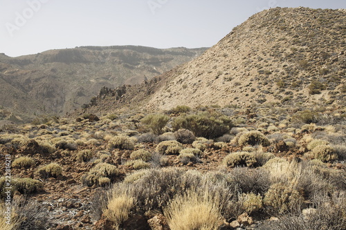 Teide park views