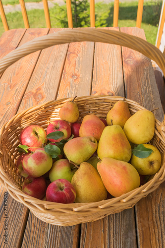 Wallpaper Mural The basket with ripe apples and pears on old wooden table background. Torontodigital.ca