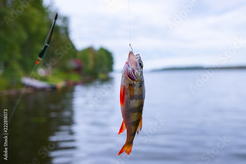 Hooked fish and water in the background with a shallow depth of field
