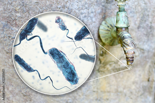 Safety of drinking water concept, 3D illustration showing bacteria Vibrio cholerae, the causative agent of cholera disease, contaminating drinking water photo