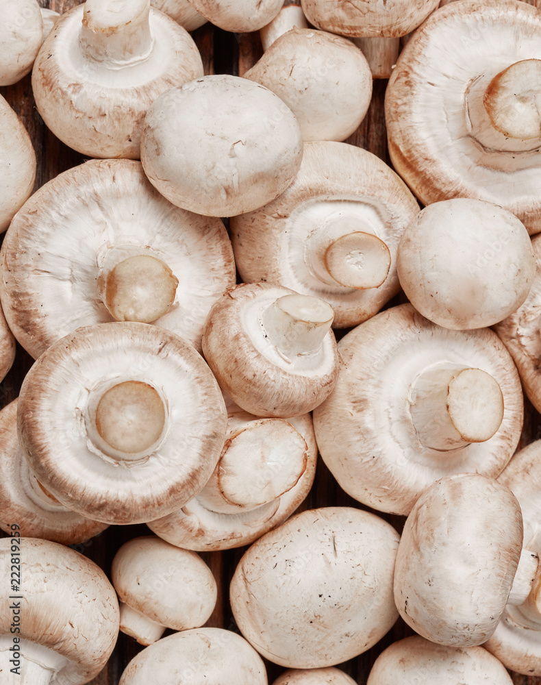 Fresh champignons Fresh champignons