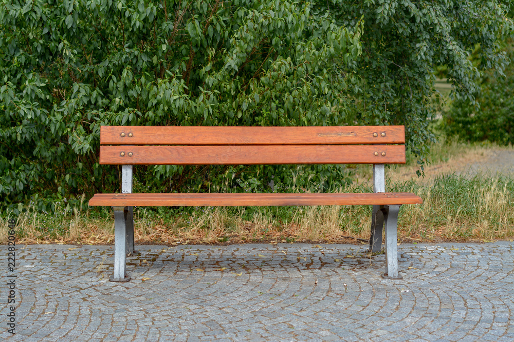 Bench on the pavement against the background of bushes Bench on the pavement against the background of bushes