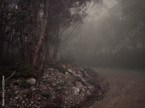 Niebla en la montaña de Lugo