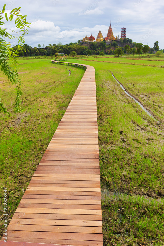 long wood brigde across rice field with wat tham suea at kanchanaburi province in Thailand