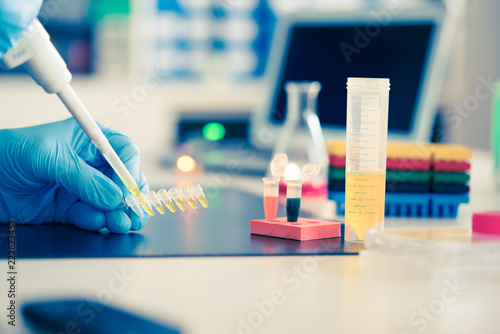 A scientist in a medical laboratory with a dispenser in his hands is doing an genetic analysis samples photo