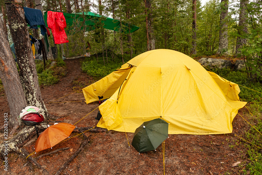 A yellow wet tent in the form of a hemisphere in a clearing in a coniferous forest. Everything is getting wet. Umbrellas, helmets and hung out drying clothes