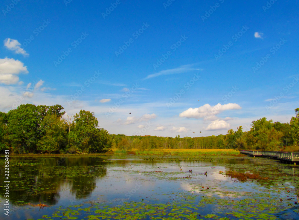 A pond in a public park and wooden foot bridge. Early autumn landscape on a sunny day.