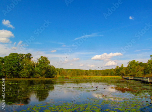 A pond in a public park and wooden foot bridge. Early autumn landscape on a sunny day.