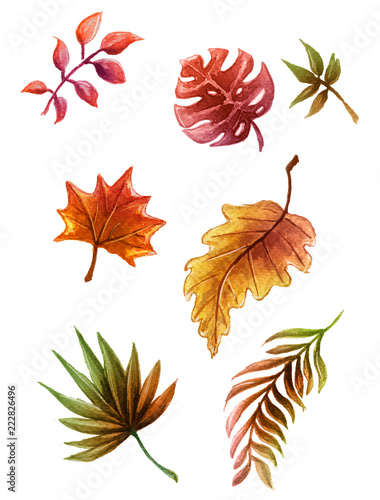 ilustracion de hojas en oto  o