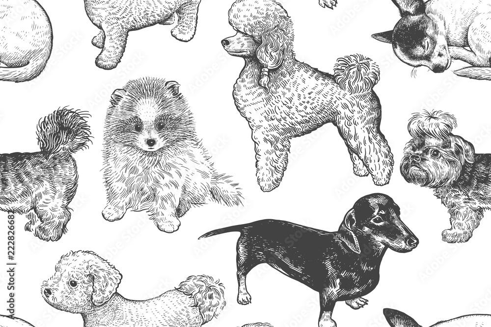 Seamless pattern. Cute little puppies. Hand-made drawing of dogs.