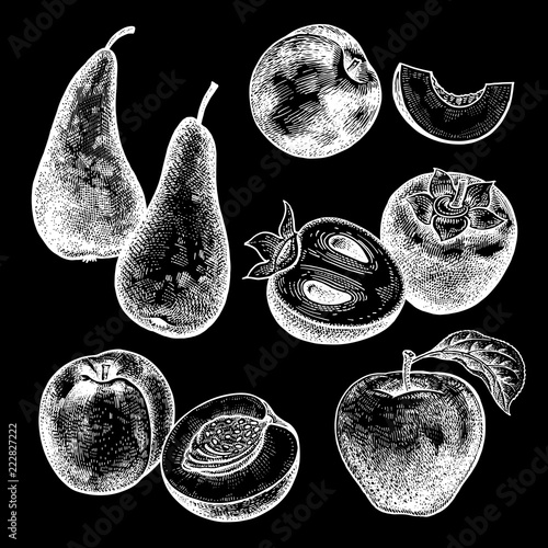 Realistic berries and fruit set. White chalk on black board.