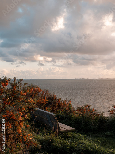landschaft
